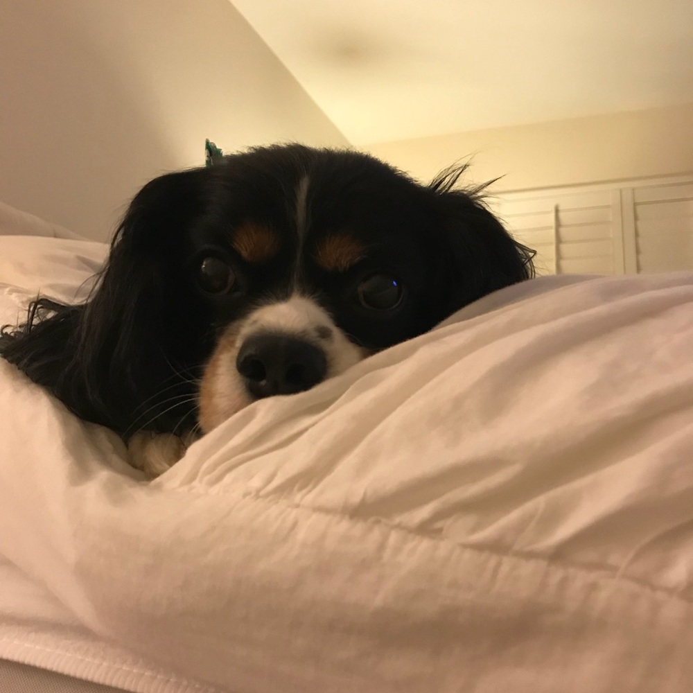 Meet your Posher, Taresa